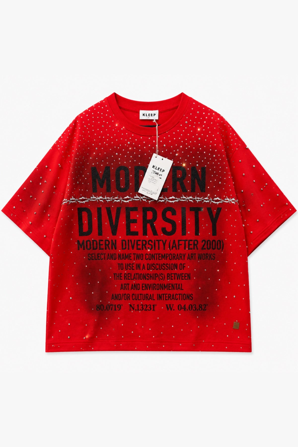 LTK "Modern Diversity Stoned" Tee